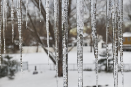 icicles in the background winter scene